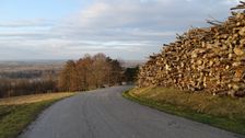 Braunsberg