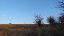 Braunsberg