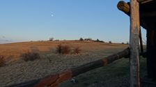 Braunsberg