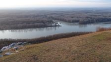 Braunsberg, NP Donauauen