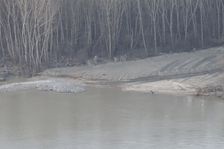 Braunsberg, NP Donauauen, new human impacts in the core zone