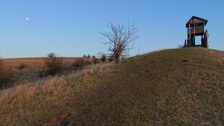 Braunsberg