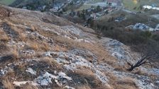 Braunsberg