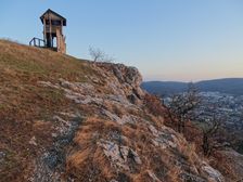 Braunsberg