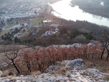 Braunsberg