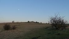 Braunsberg