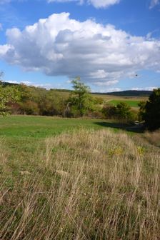 Hundsheimer Berg