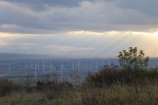 Hundsheimer Berg, landscape graveyard in the background