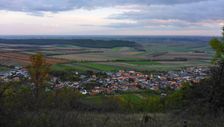 Hundsheimer Berg, Hundsheim