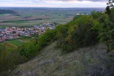 Hundsheimer Berg, Hundsheim