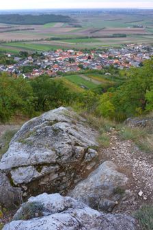 Hundsheimer Berg, Hundsheim
