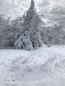 Na Ďurkovci (SK/PL) 1189 m.n.m.