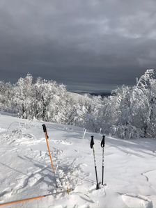 Na Ďurkovci (SK/PL) 1189 m.n.m.