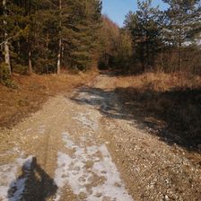 Žltá trasa