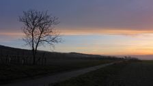 Prellenkirchen - Spitzerberg