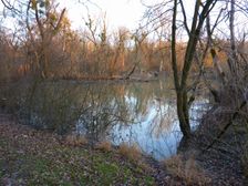 Nationalpark Donauauen, Stopfenreuther Au, core zone