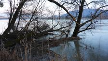 Nationalpark Donauauen, Stopfenreuther Au, core zone, danube flood
