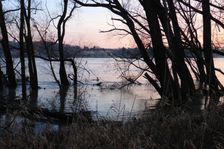 Nationalpark Donauauen, Stopfenreuther Au, core zone, danube flood