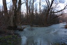 Nationalpark Donauauen, Stopfenreuther Au, core zone, danube flood