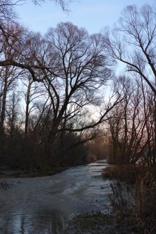 Nationalpark Donauauen, Stopfenreuther Au, core zone, danube flood
