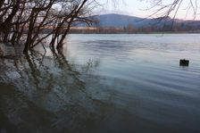 Nationalpark Donauauen, Stopfenreuther Au, core zone, danube flood
