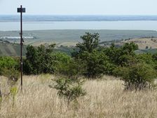 Zeilerberg, view to Neusiedler See