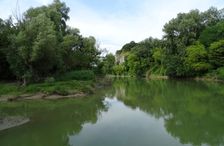 Hainburg - Röthelstein, NP Donauauen, core zone