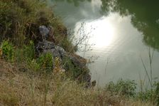 Röthelstein, NP Donauauen, core zone