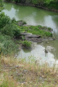 Röthelstein, NP Donauauen, core zone