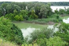 Röthelstein, NP Donauauen, core zone