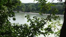 Hainburg - Röthelstein, NP Donauauen