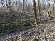 Leithaauen, Pachfurth