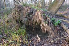 Leithaauen, Pachfurth