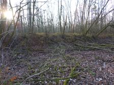 Leithaauen, Pachfurth