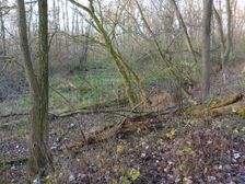 Leithaauen, Pachfurth