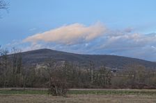 Hainburg - Jägerhaussiedlung, NP Donauauen, view to Devínska Kobyla & Devínsky Hrad