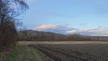 Hainburg - Jägerhaussiedlung, edge of NP Donauauen