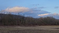 Edge of NP Donauauen