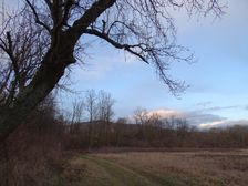 Edge of NP Donauauen