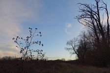 Hainburg - Jägerhaussiedlung