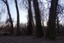 Donauauen outside the National Park