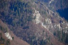 Dolný Jelenec, bralá