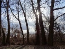 Hainburger Donauauen outside the National Park