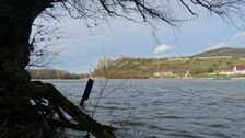 Hainburger Donauauen outside the National Park, view to Devínsky Hrad