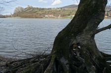 Hainburger Donauauen outside the National Park, view to Devínsky Hrad