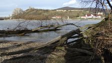 Hainburger Donauauen outside the National Park, view to Devínsky Hrad