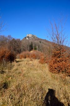 Majerova skala 1283m, rúbanisko