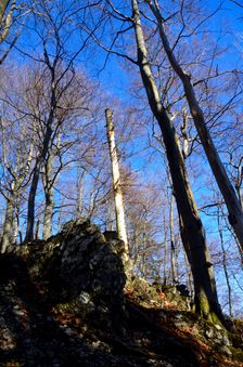 Skalka