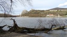 Hainburger Donauauen outside the National Park, view to Devínsky Hrad
