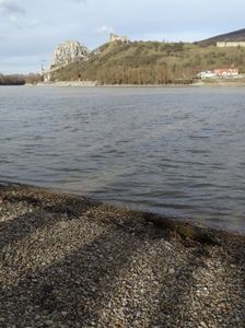 Hainburger Donauauen outside the National Park, view to Devínsky Hrad